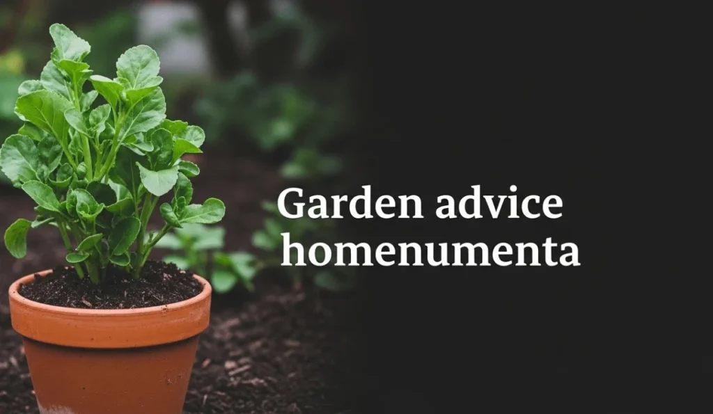 Garden Advice Homenumenta: Practical Guidance for a Thriving Home Garden